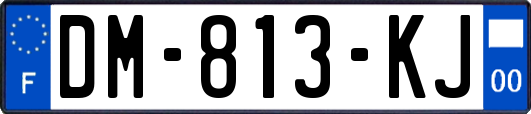 DM-813-KJ