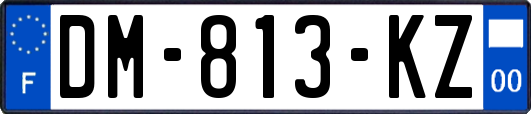 DM-813-KZ
