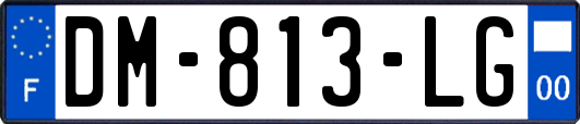 DM-813-LG