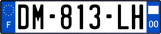 DM-813-LH