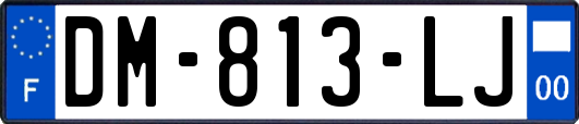 DM-813-LJ
