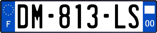 DM-813-LS