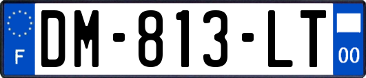 DM-813-LT