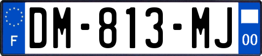 DM-813-MJ