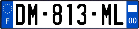 DM-813-ML