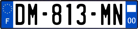 DM-813-MN