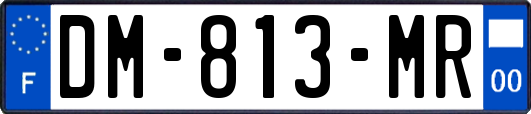 DM-813-MR