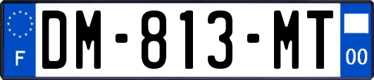 DM-813-MT