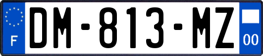 DM-813-MZ