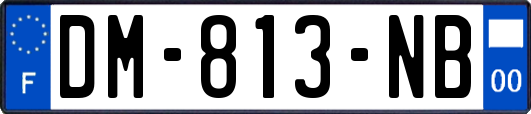 DM-813-NB