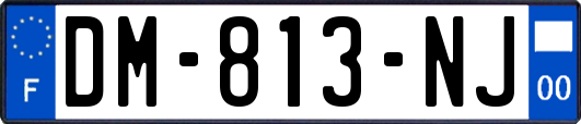 DM-813-NJ