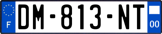 DM-813-NT