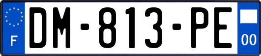 DM-813-PE