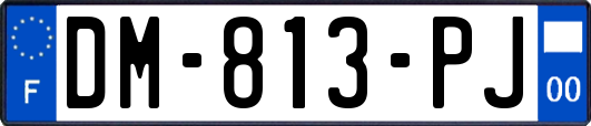 DM-813-PJ