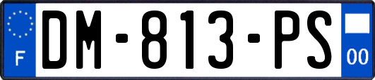 DM-813-PS