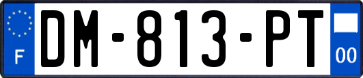 DM-813-PT