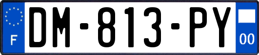 DM-813-PY