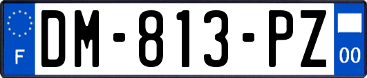 DM-813-PZ