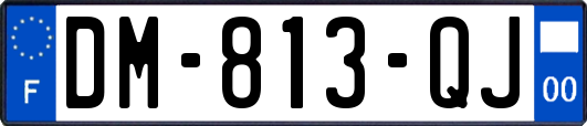 DM-813-QJ