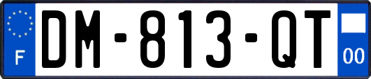 DM-813-QT