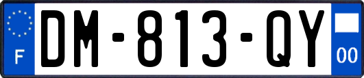 DM-813-QY