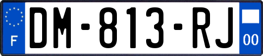 DM-813-RJ