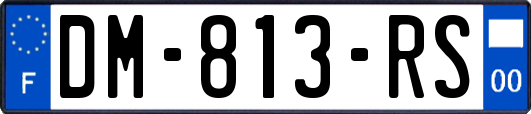 DM-813-RS