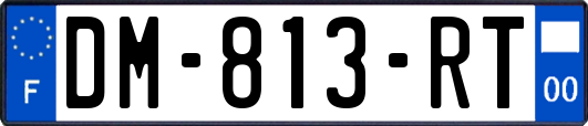 DM-813-RT