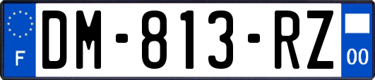 DM-813-RZ