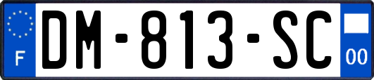 DM-813-SC
