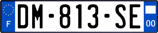DM-813-SE