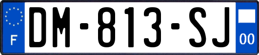 DM-813-SJ