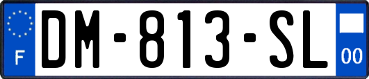 DM-813-SL