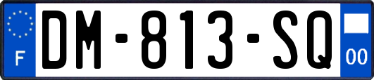 DM-813-SQ