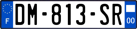 DM-813-SR
