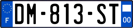 DM-813-ST