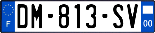 DM-813-SV