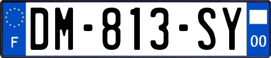 DM-813-SY