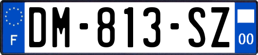 DM-813-SZ