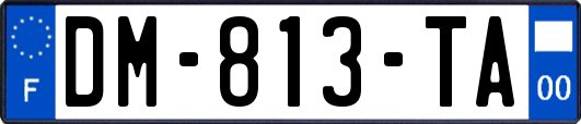 DM-813-TA