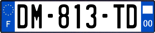 DM-813-TD