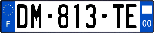 DM-813-TE
