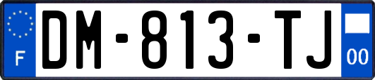 DM-813-TJ
