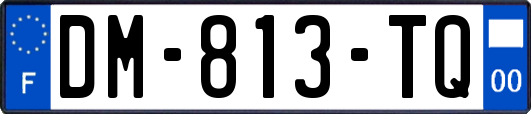 DM-813-TQ