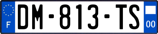 DM-813-TS