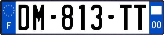 DM-813-TT