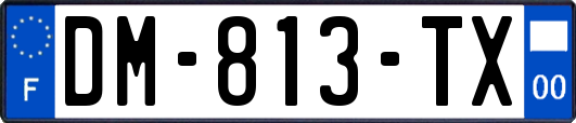 DM-813-TX