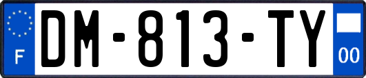 DM-813-TY
