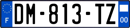 DM-813-TZ