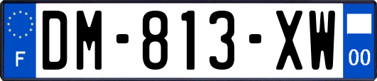 DM-813-XW